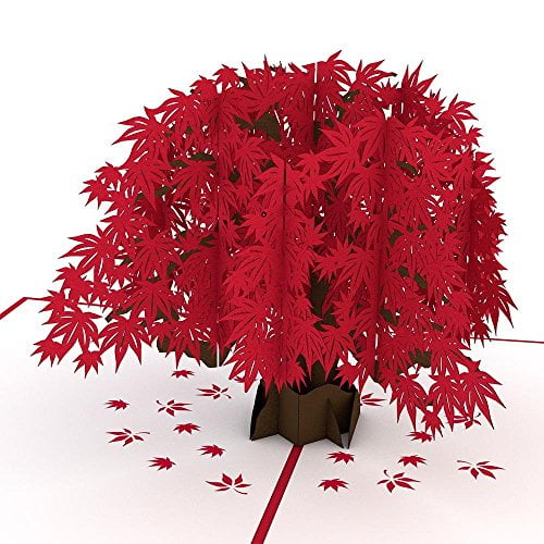 Wedding Cards Lovepop Wedding Florals Pop Up Card 3D Card Congratulations Cards Greeting Card